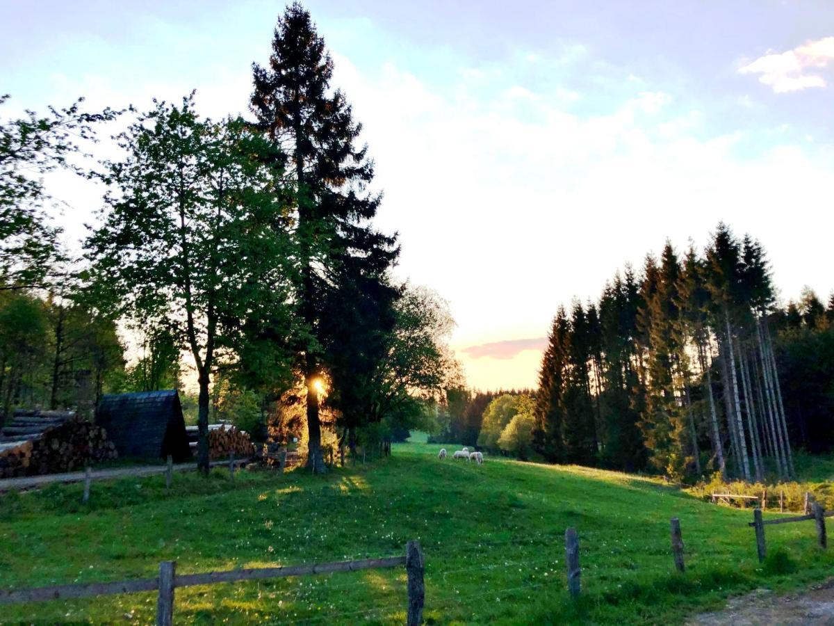 Hotel Zur Post Brilon Kültér fotó